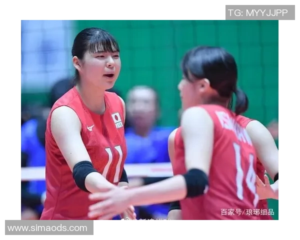 上海排球队在欧锦赛中的战术解析与表现评估