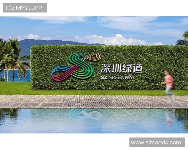 杭州极限运动队的逆袭之路与创新突破探索