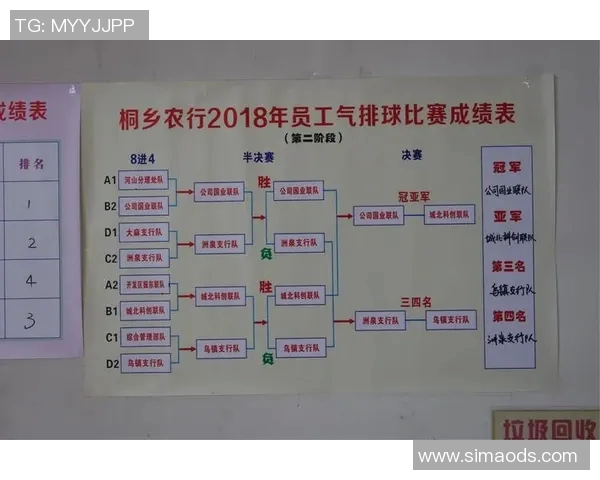 武汉排球队在全国排球战术排行榜中荣登第八名的背后故事与分析